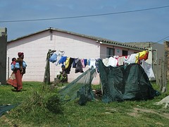 IMG_0824