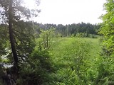Beaver Creek Trail, Elk Falls
