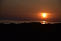 DSC_0979