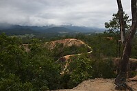 DSC_0521