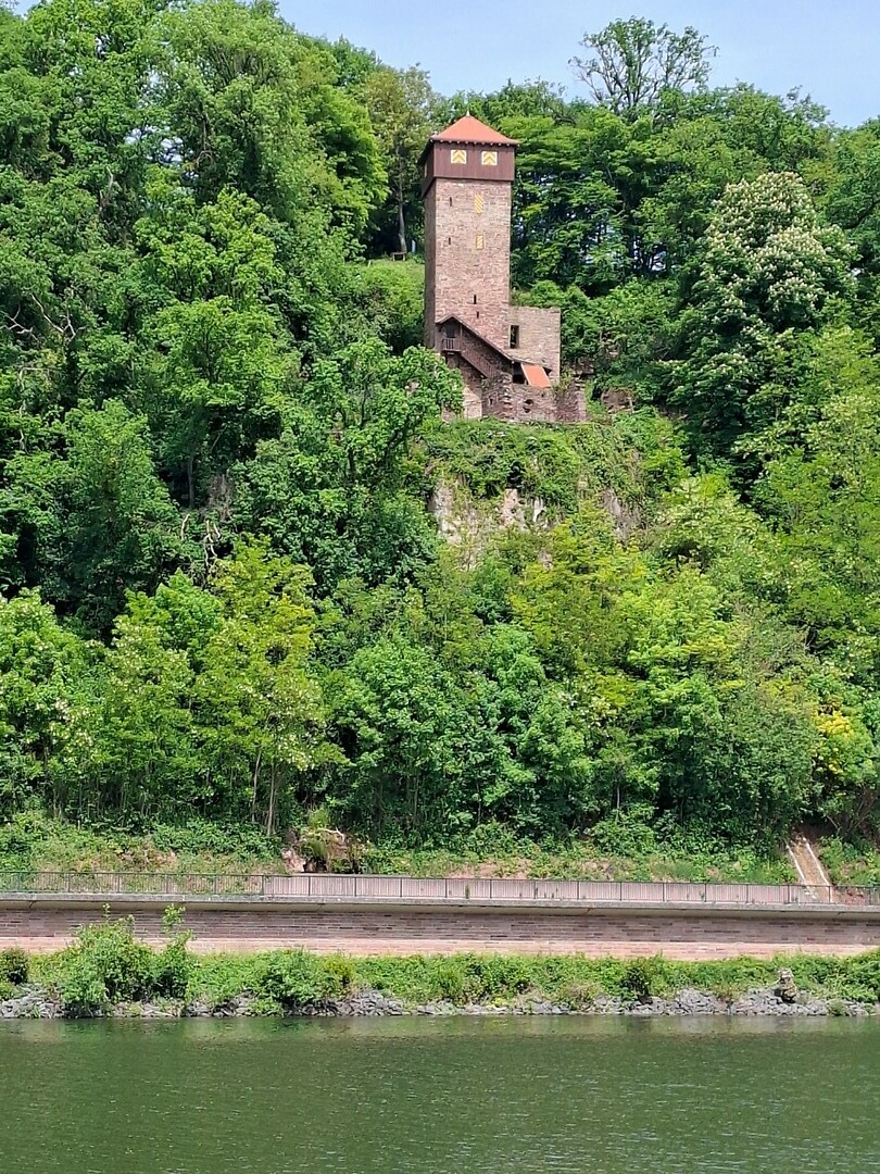 Langs de Neckar