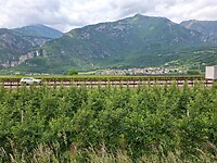 Lunch uitzicht over de snelweg A22