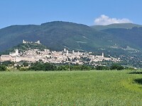 Assisi