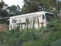 IMG_5523[1]