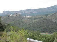 IMG_5533