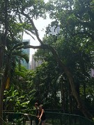 Botanical gardens