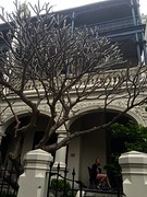 Ons huis in Sydney