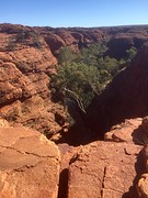 King's Canyon / Watarrka