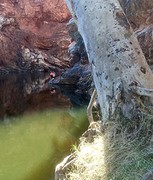 Cees en Ormiston Gorge