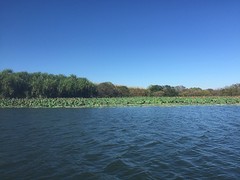 Mary River