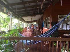 Epiphyte B&B