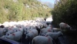 stukjes film albanie