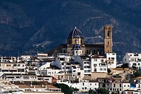 IMG_4305