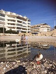 IMG_4306