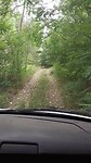 Spannende route naar het huis in het bos