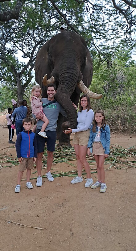 Elephant encounter 2