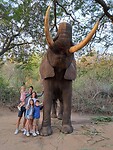 Elephant encounter 1