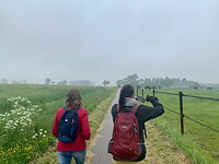 IMG_8990