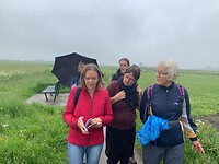 IMG_8997