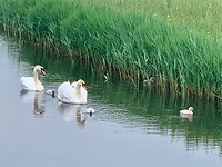 IMG_9002