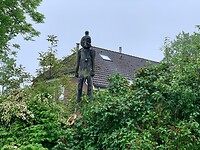 IMG_9005