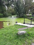 PHOTO-2021-08-28-11-45-35