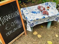 Gekocht! En ze hebben de smaak van pruimen 😋