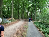 Zuidlaren -Rolde4