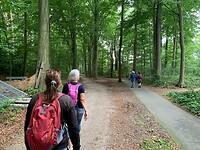 Zuidlaren -Rolde5