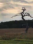 Zuidlaren -Rolde90