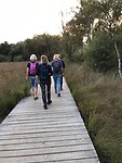 Zuidlaren -Rolde91