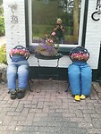 Zuidlaren -Rolde106