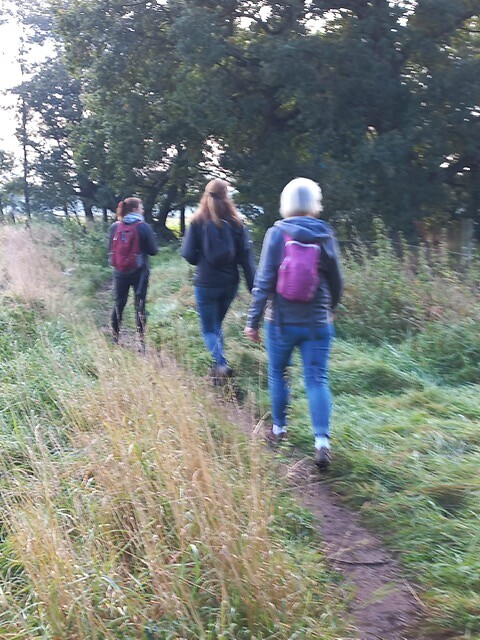 Rolde - Schoonloo