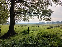 Rolde - Schoonloo