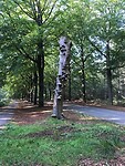 Rolde - Schoonloo