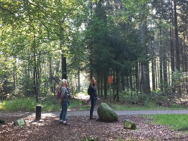 Rolde - Schoonloo