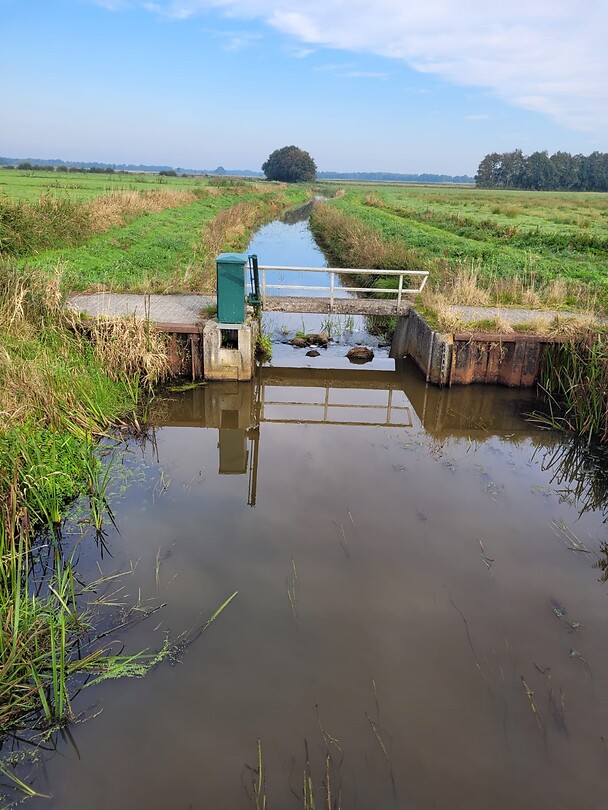 Rolde - Schoonloo