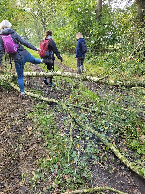 Rolde - Schoonloo