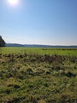 Rolde - Schoonloo