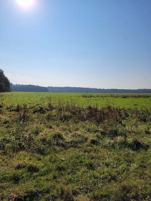 Rolde - Schoonloo
