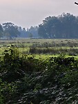 Rolde - Schoonlo