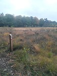 Onderweg