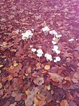 IMG_20221022_125957
