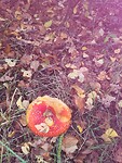 IMG_20221022_120908