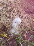 IMG_20221022_115313