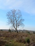 IMG-20240309-WA0016
