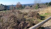 IMG-20240309-WA0027