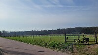 IMG-20240309-WA0028