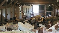 IMG-20240309-WA0032