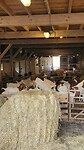 IMG-20240309-WA0033